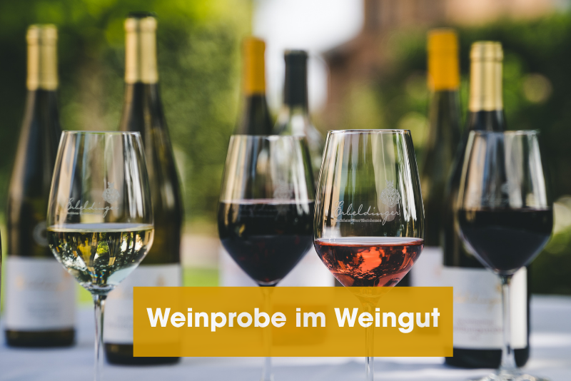Weinverkostung und Weinkauf im Weingut - persönlich, individuell & genussvoll