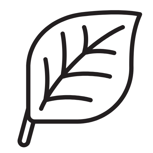 Icon Bio Weingut Familie Erbeldinger