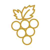 Bio-Weingut aus Rheinhessen