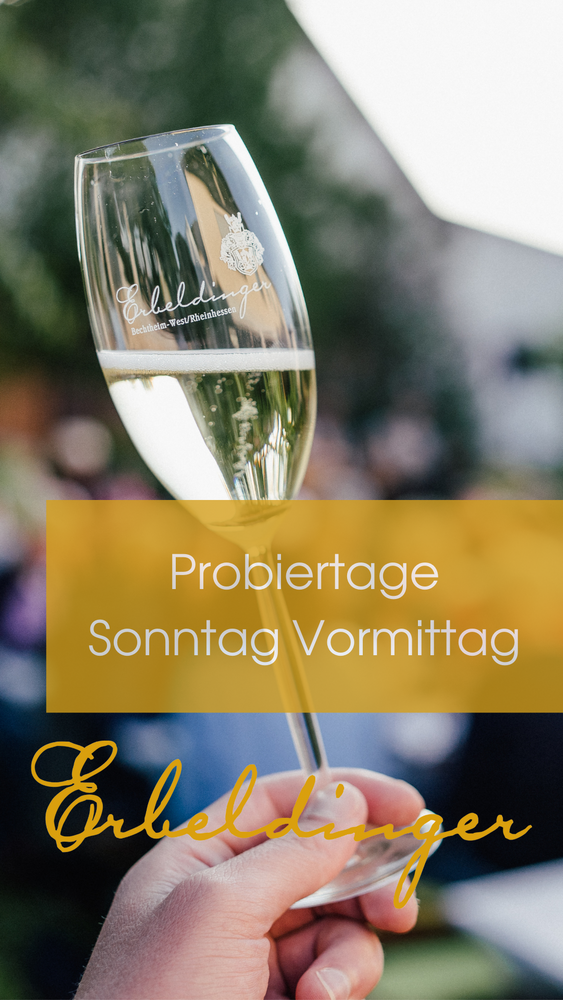 
                  
                    probierTAGE! Sonntag 12.11.23 Anmeldung 10.30-13.30 Uhr
                  
                