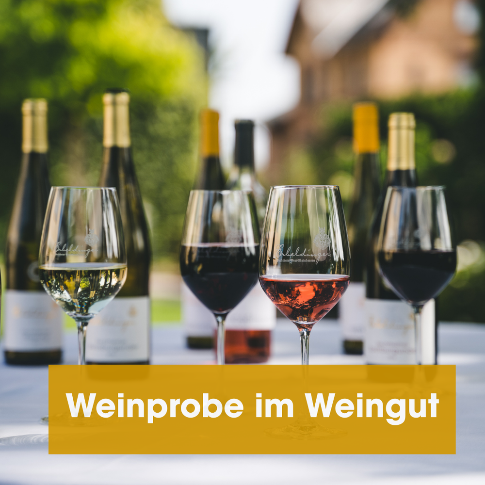 Weinprobe im Weingut