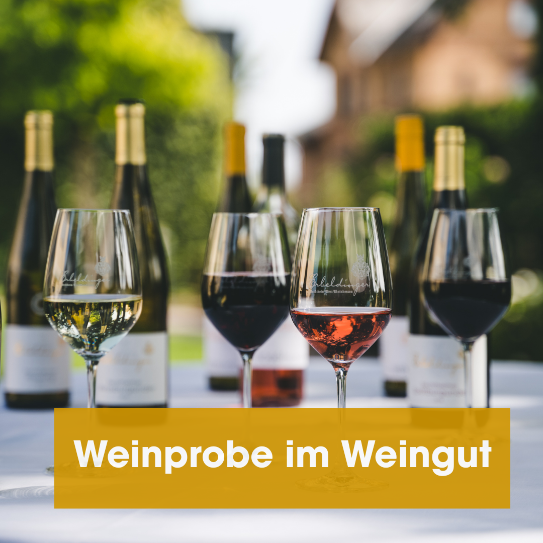 Weinprobe im Weingut