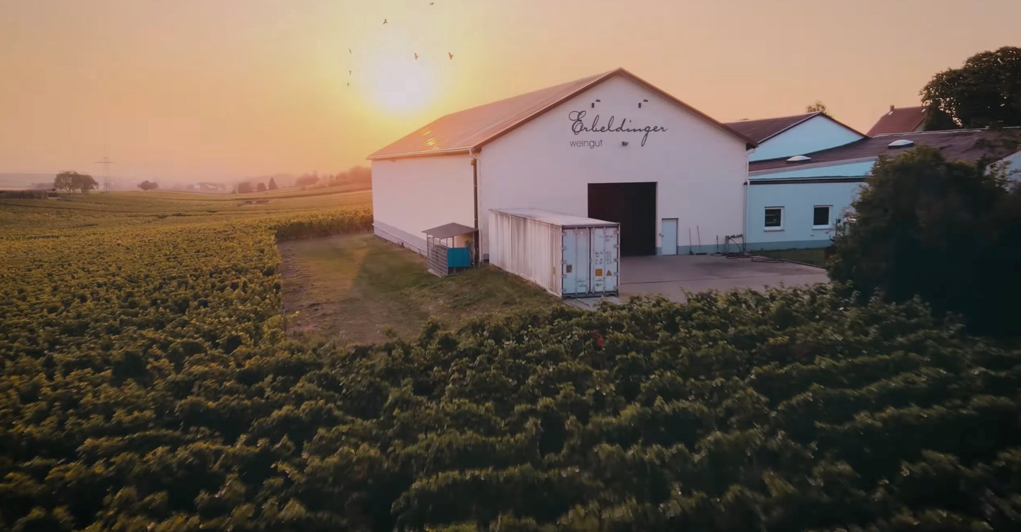 Weingut Erbeldinger